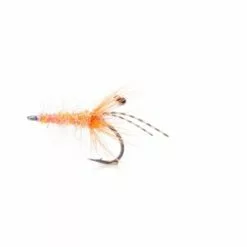 Seatrout Shrimp