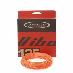 Vision Vibe 125