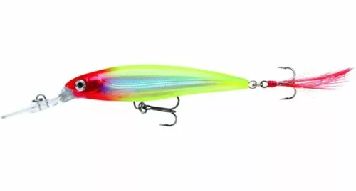 Rapala X-Rap Deep 10cm 5 Rapala X-Rap Deep 10cm - Afbeelding 3
