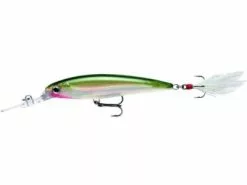 Rapala X-Rap Deep 10cm 12 Rapala X-Rap Deep 10cm -Molens verfijnd winkel rapala x rap deep olive green 3