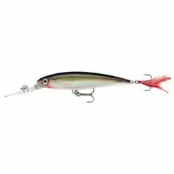 Rapala X-Rap Deep 10cm 13 Rapala X-Rap Deep 10cm -Molens verfijnd winkel rapala x rap deep silver 1